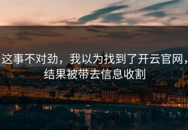 这事不对劲，我以为找到了开云官网，结果被带去信息收割