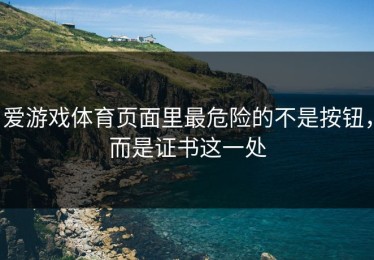 爱游戏体育页面里最危险的不是按钮，而是证书这一处