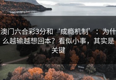 澳门六合彩3分和‘成瘾机制’：为什么越输越想回本？看似小事，其实是关键