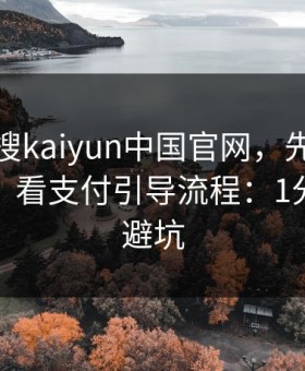 别急着搜kaiyun中国官网，先做这一步验证：看支付引导流程：1分钟快速避坑