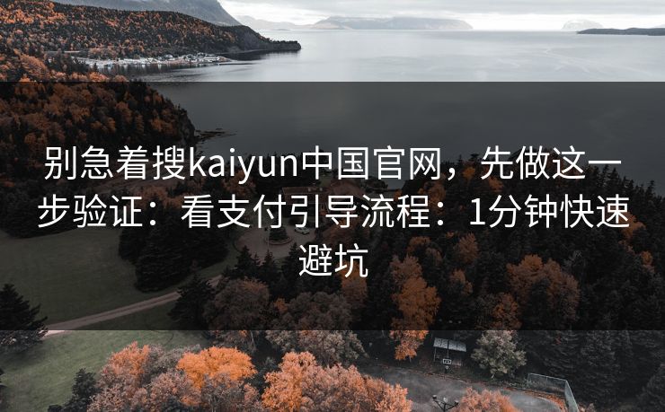别急着搜kaiyun中国官网，先做这一步验证：看支付引导流程：1分钟快速避坑
