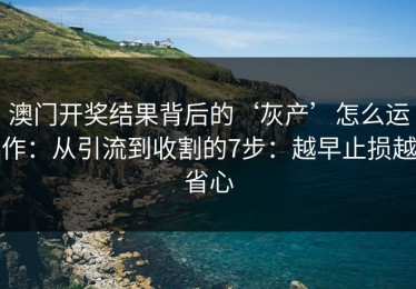 澳门开奖结果背后的‘灰产’怎么运作：从引流到收割的7步：越早止损越省心